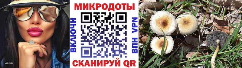 что такое наркотик  Динская  Галлюциногенные грибы мицелий 