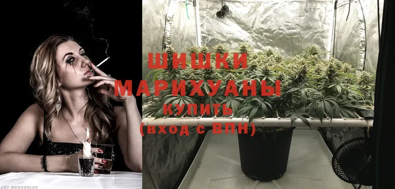 Каннабис SATIVA & INDICA  Динская 